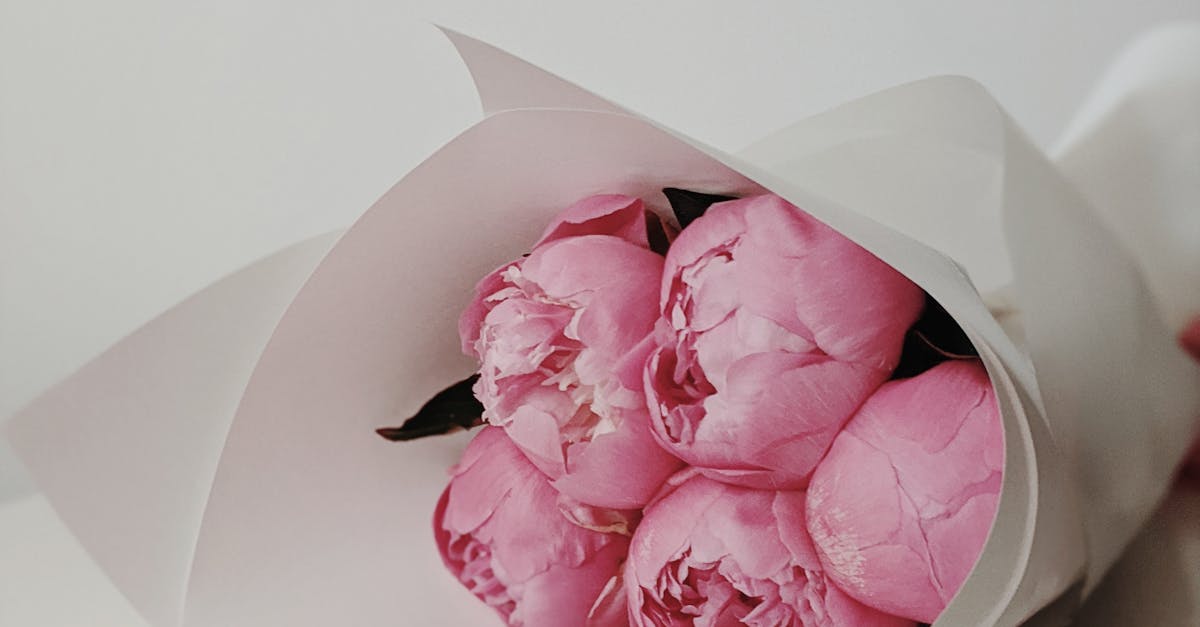 A Guide to Enjoying More Leisure Time with Low Maintenance Turf