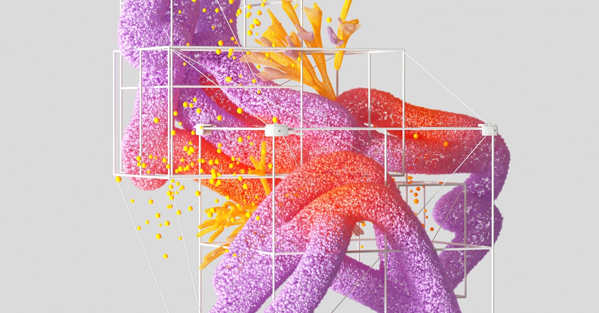 Assessing Soil Quality for Synthetic Turf Installation in Brisbane