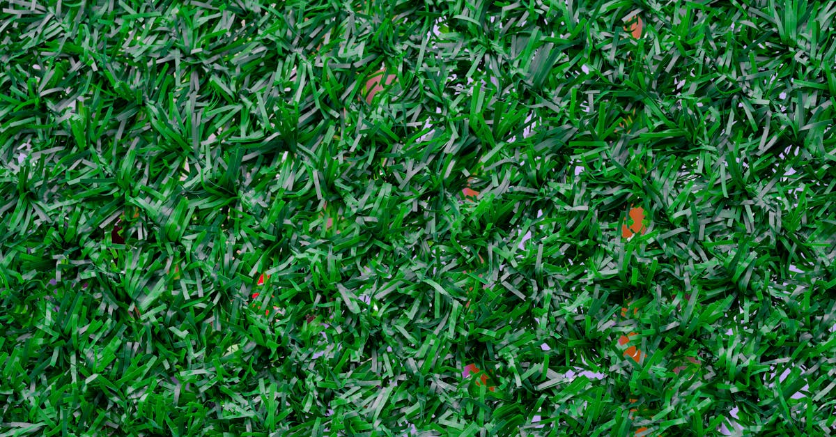 Avoiding Common Issues by Following a Synthetic Turf Maintenance Calendar