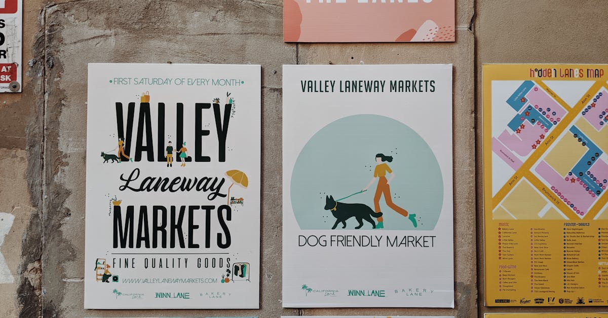 Common Mistakes in Drainage Installation for Synthetic Turf