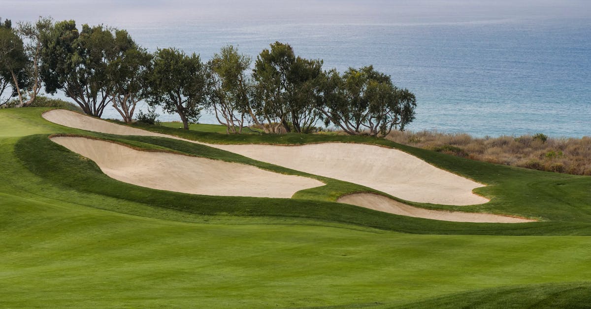 Eco-Friendly Aspects of Synthetic Turf in Brisbane