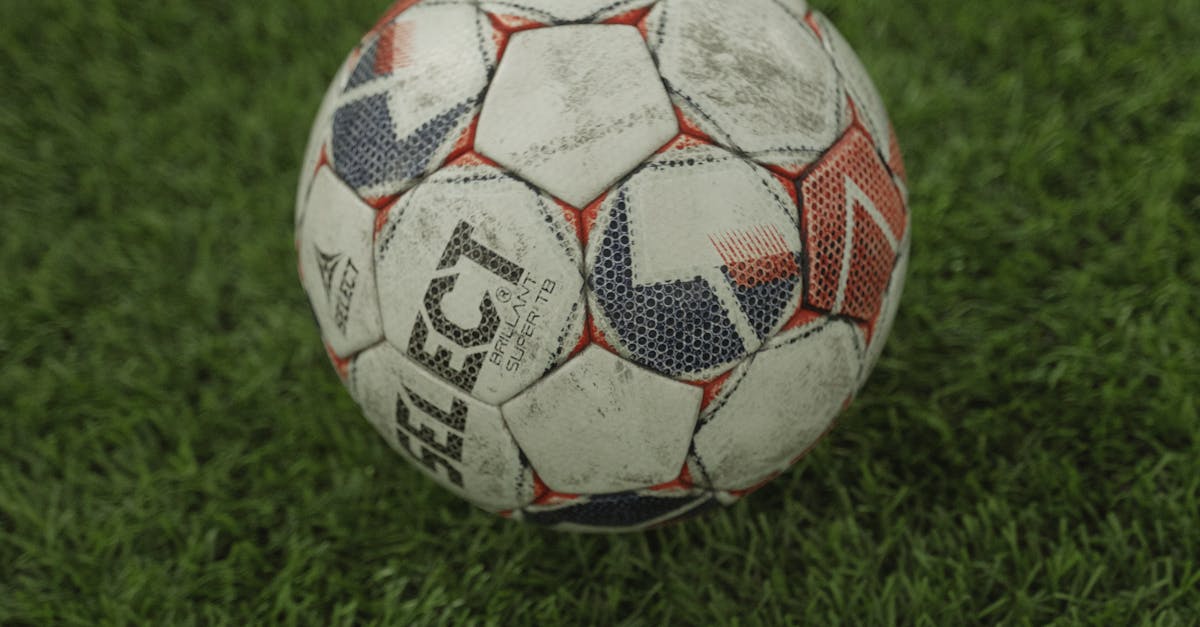 Eco-Friendly Cleaning Methods for Synthetic Grass