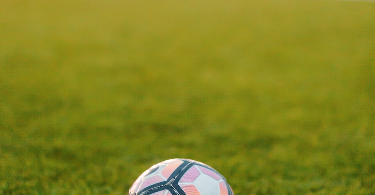 Enhancing Property Value through Synthetic Turf Installations