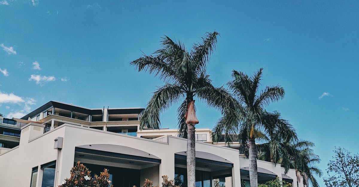 Evaluating Return on Investment for Synthetic Turf Installations