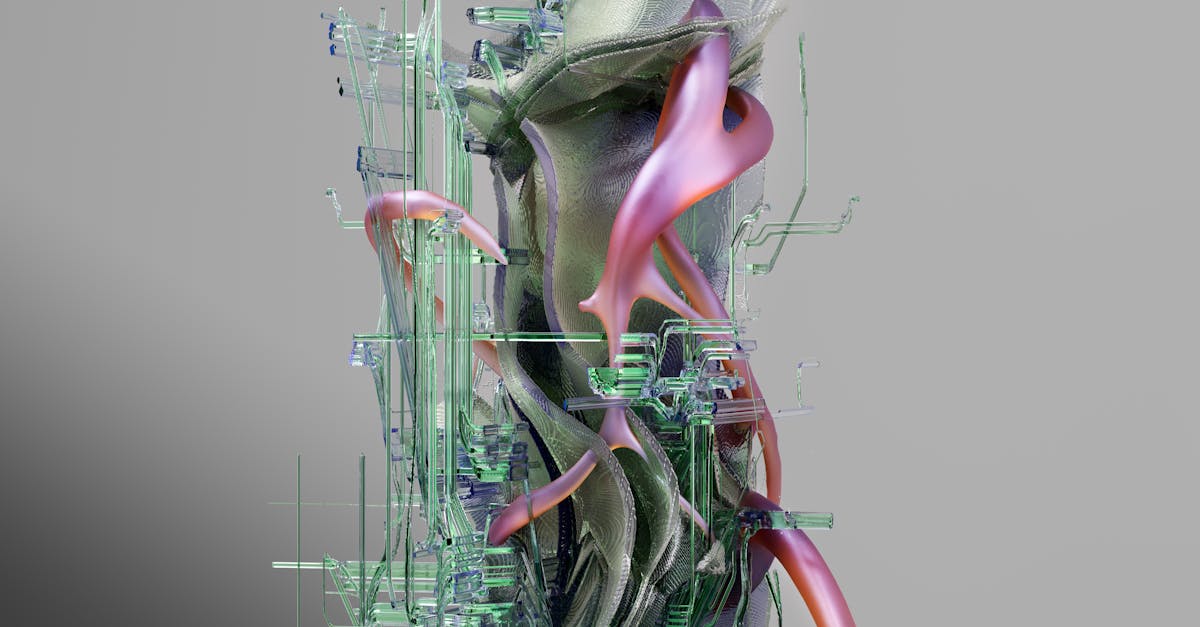 Evaluating Sunlight and Shade Levels for Synthetic Turf Installation