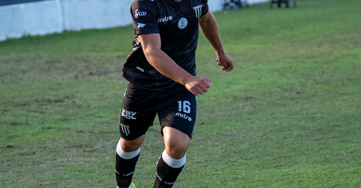 How to Tailor Your Synthetic Turf Maintenance Plan for Local Conditions