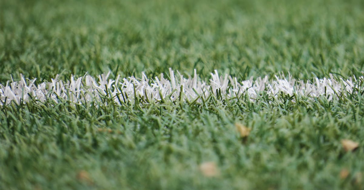 Identifying Common Pests Affecting Synthetic Grass