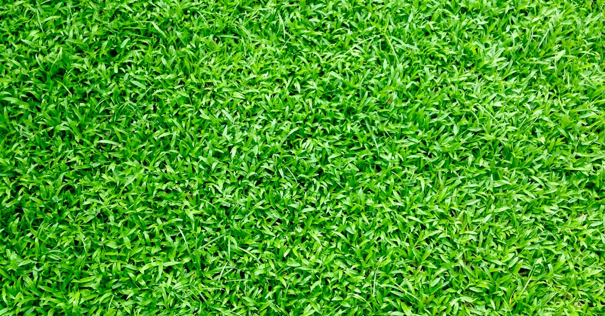 Mitigating Heat Islands with Synthetic Grass in Urban Areas