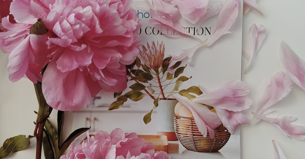 Performance Characteristics of Synthetic Turf for Sports Fields in Brisbane