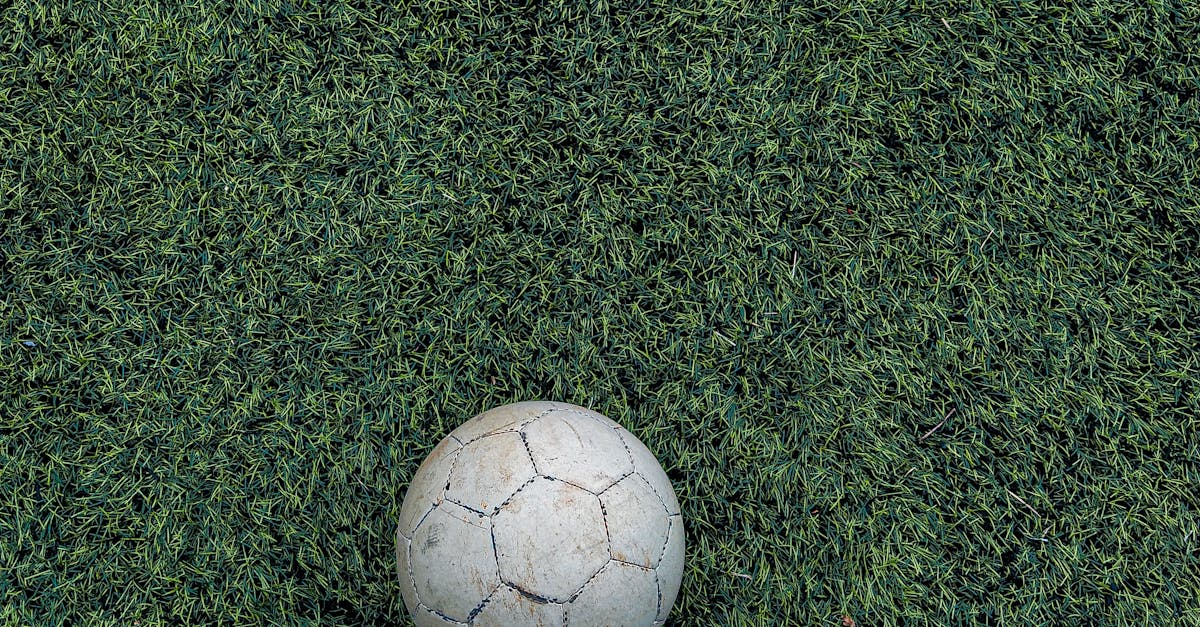 Troubleshooting Common Issues in Synthetic Turf Repair