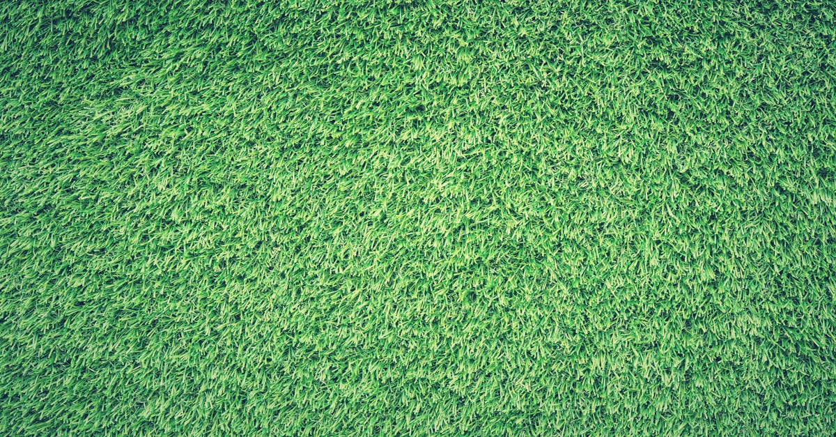 Understanding Infill Materials for Synthetic Turf in Brisbane