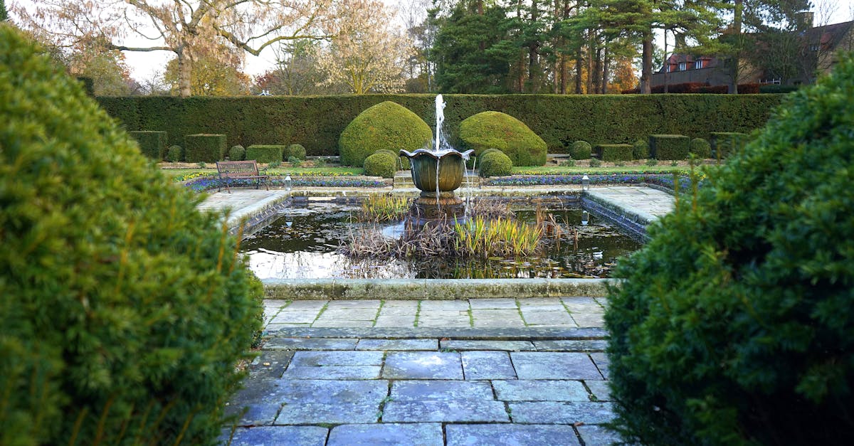 Visual Inspection Techniques for Synthetic Turf Installations