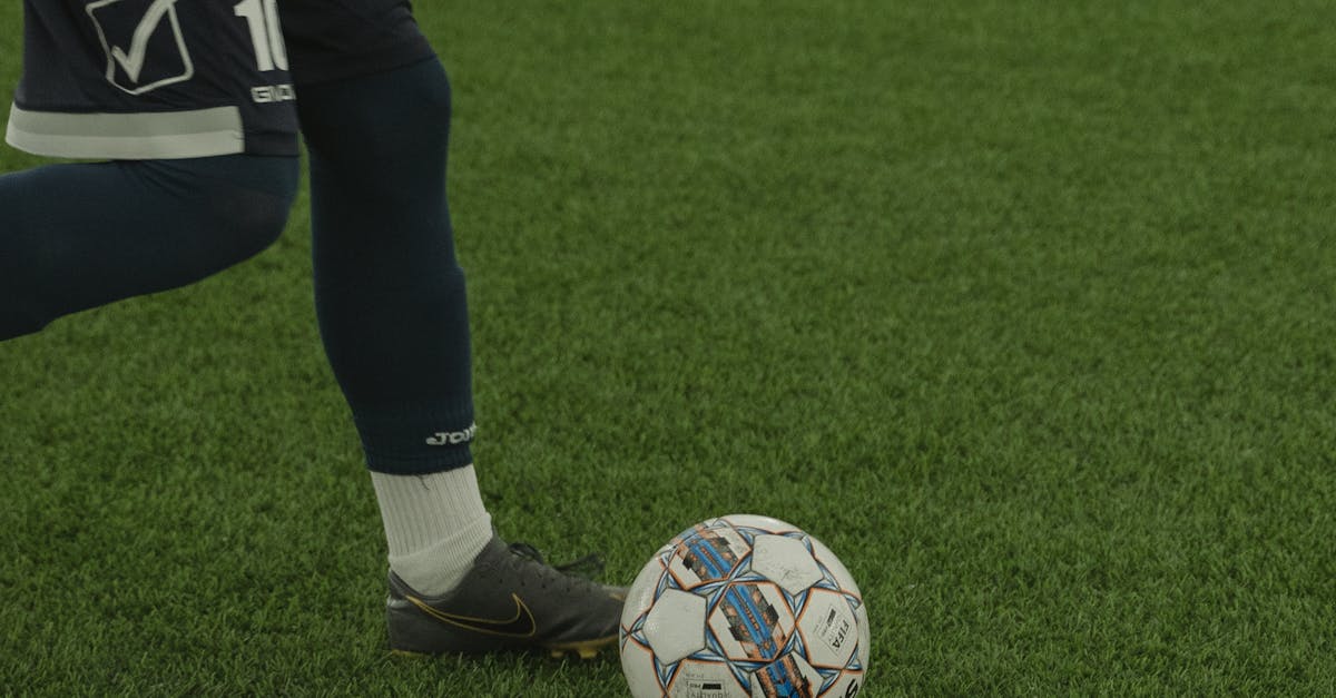 Year-Round Synthetic Turf Care: Monthly Maintenance Schedule for Brisbane